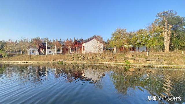 美丽吉安：初冬的井冈山挹翠湖公园风光迷人（摄/王伟）