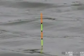 不是跟你吹，钓鱼时只要做好这几点，浮漂全是顿口，提竿就上鱼！图片