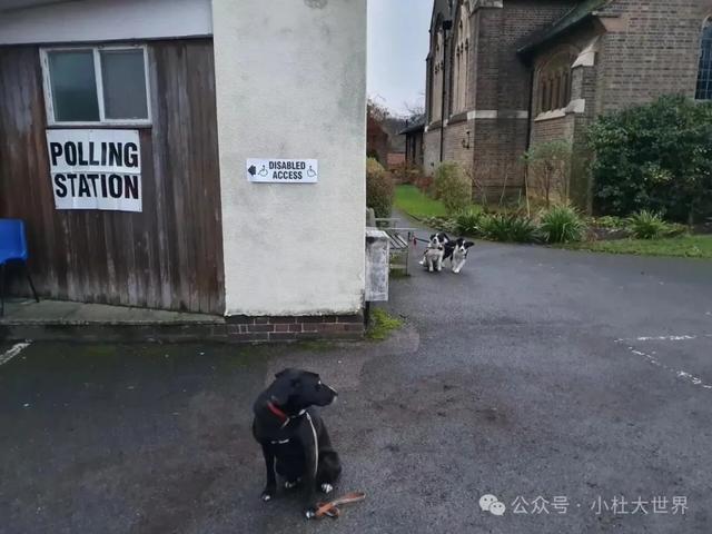 英伦轶事:人与狗