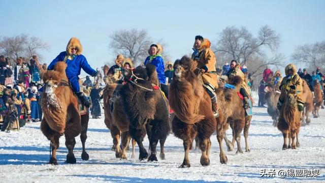 建冰雪公园、新增雪雕！大型烟花秀、篝火派对！系列活动将启动！