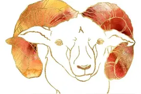 天生好色，喜欢勾引双鱼的星座top3图片