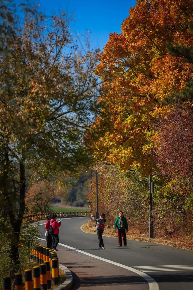 长春一5A级景区官宣：这些人免票！