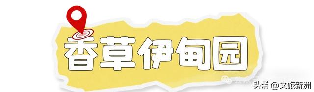 收藏秋日宝藏学玩地图!趣游新洲,为知识充“秋”电