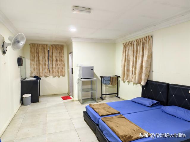 马来西亚(36)砂拉越州⑩峇哥国家公园夜间徒步体验