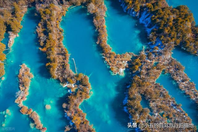 九寨沟秋季赏枫！10 月下旬高光期必看，新徒步线 + 隐藏机位全解锁