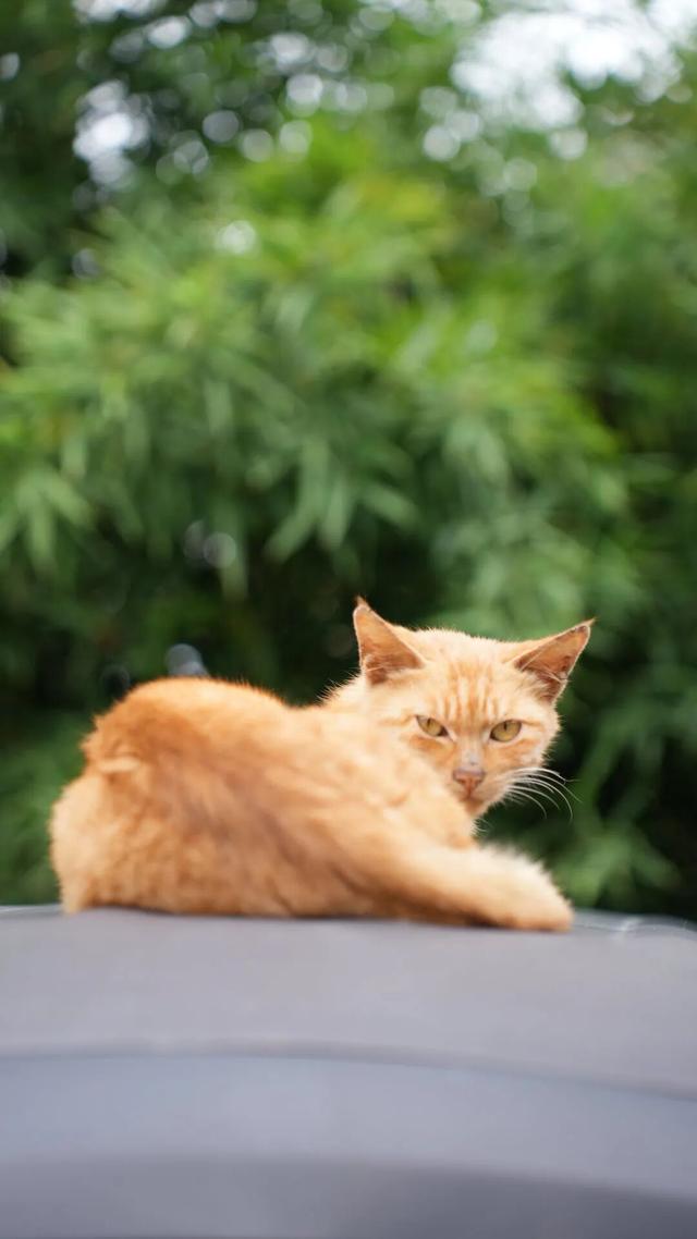 捡秋，在千年古城里体验“寻宝”游戏