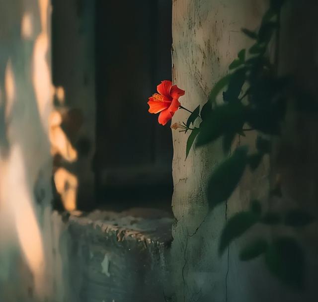 止（不是停）