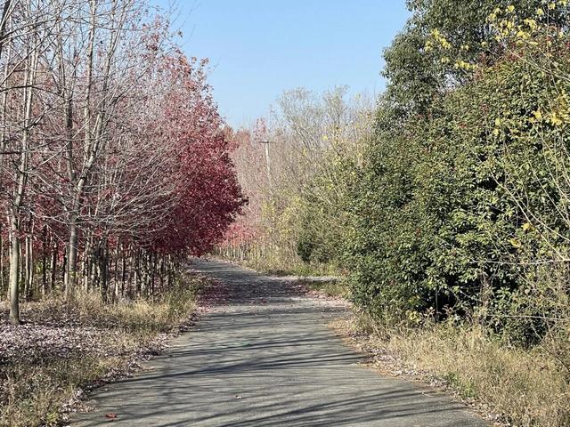 骑游大美六合冶山黄山、杜营、毛营三水库；冶山矿场轻越野