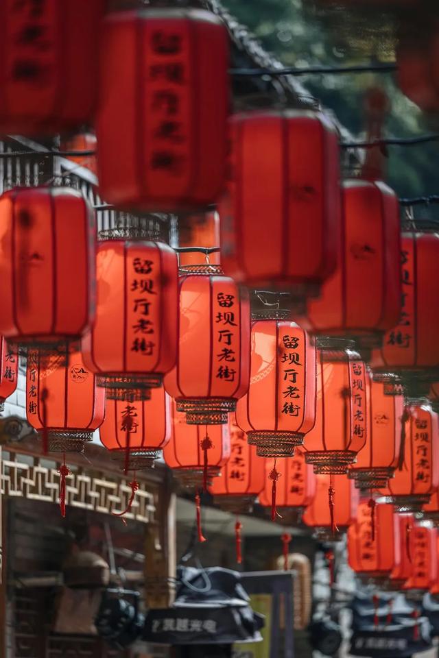 抢“鲜”看！汉中双节“一日一县区·一县一主题”活动来袭→
