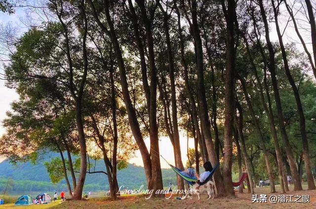 遛娃、约会、发呆…一份在韶关武江完美的晒太阳方案是这样↓