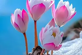 事业单位的管理岗如何定级，方法很简单！图片