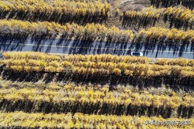 北京周末自驾新选择！全家重阳出游人少景美