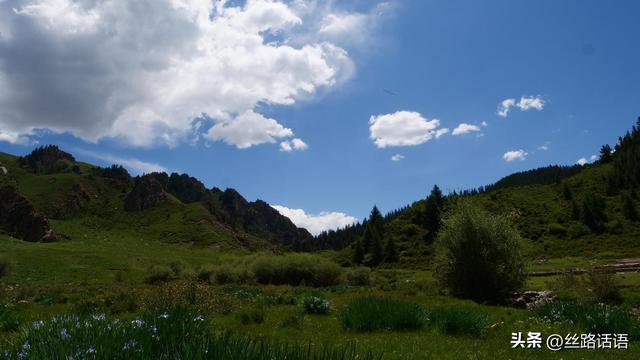 图集丨山丹湿地：生态画卷展绿意 飞鸟清波映蓝天