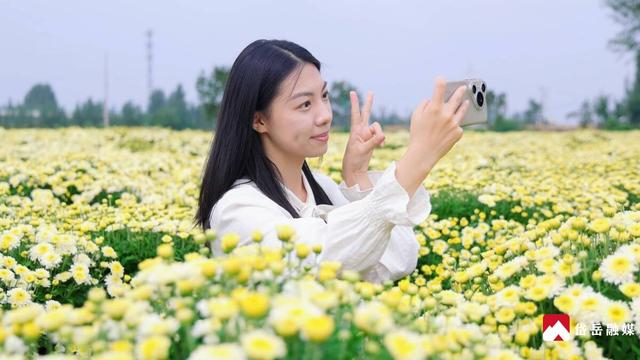 文化中国行丨寒露时节探访大汶口镇：文旅焕彩魅力奔涌