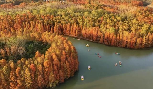 周五宠粉日|3条宝藏慢跑路线解锁秋日运动活力,文末还有海湾国家森林公园门票相赠!
