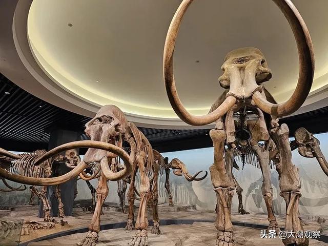 这地方，去过10次以上算你赢