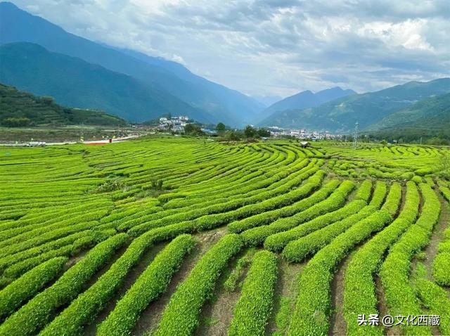 美到心颤！墨脱这几个沿江村落，串联起西藏绝景！