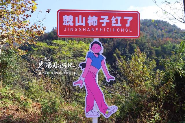 浙江绍兴这个山村火了，吊红柿子漫山红遍，美如童话却免费开放