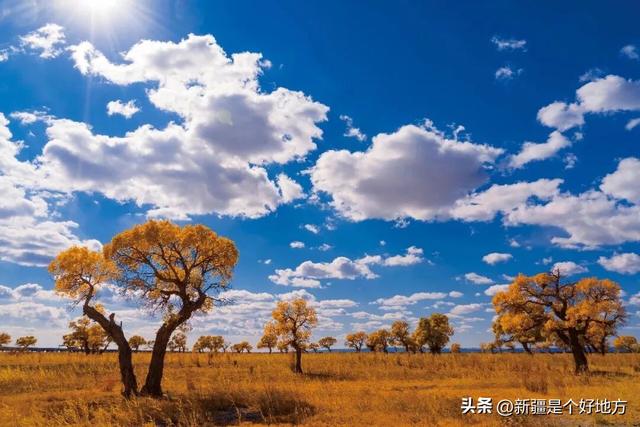 克拉玛依5处小众赏秋地，别只说它「油」了！