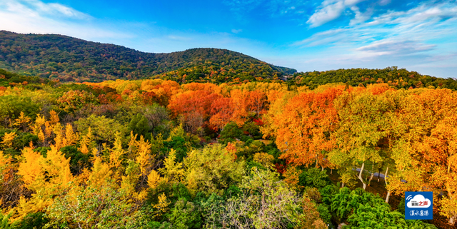 哎呀！谁打翻了襄阳“调色板”！