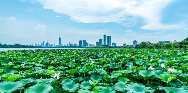 玄武湖没网红打卡点，却成了南京人天天泡的“生活客厅”