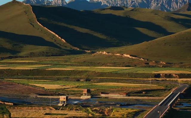 重走丝绸之路,这支“东天山来的骆驼队”到哪了?