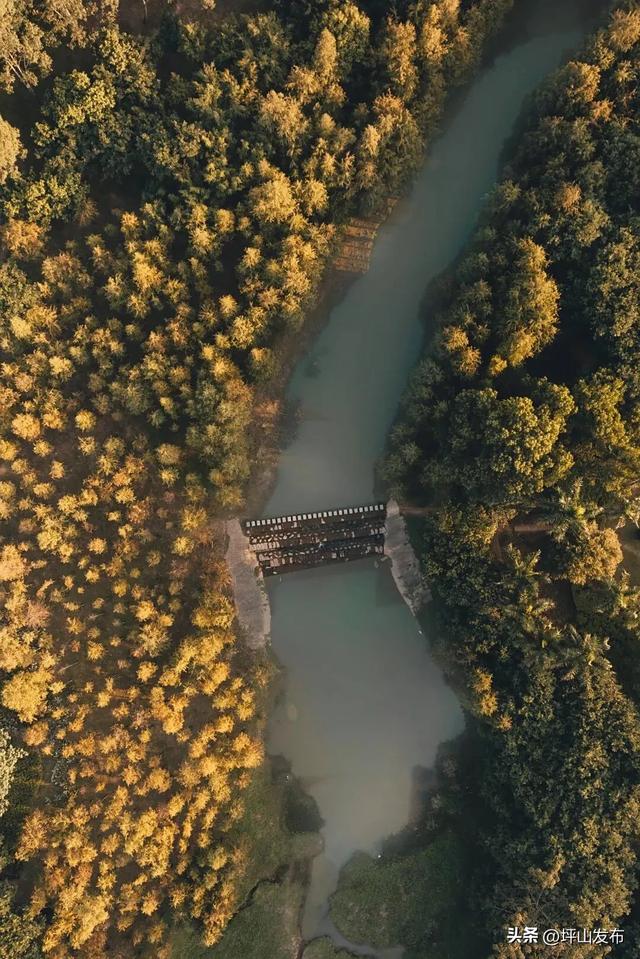 骑遇坪山① | 宝藏“高颜值”骑行线,拍出森系大片刷爆朋友圈