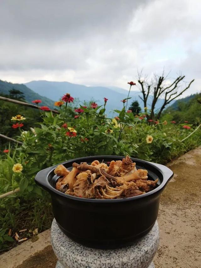 21.7℃的夏天！天目山麓藏了个“神仙村落”丨包个村子避暑去⑧