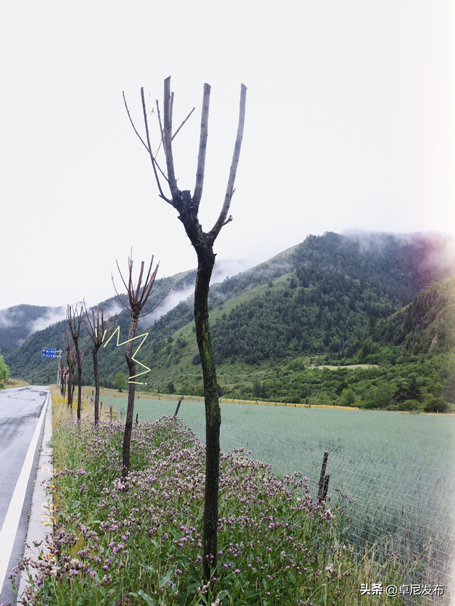 邂逅美丽大峪沟