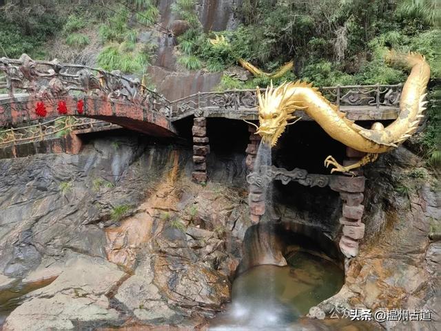 温州这个以畲族始祖命名的4A级景区，秘藏着一座“生物王国”！