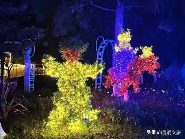 世博园大型灯展!最新剧透来啦