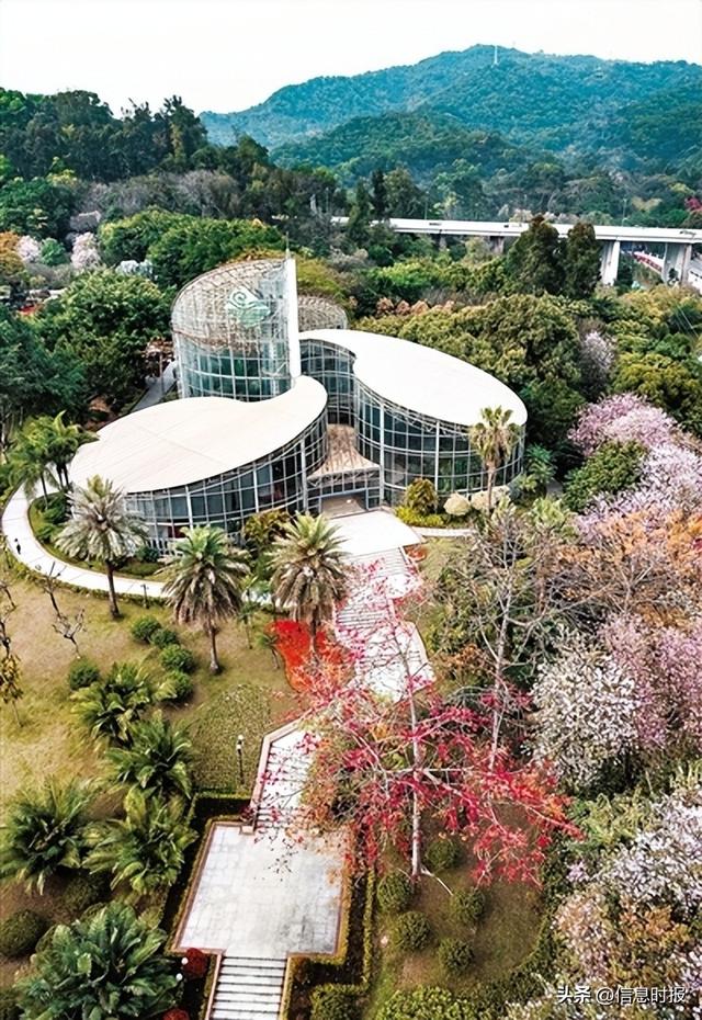 云台花园开园三十周年 听建设者说“花城明珠”诞生记