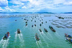 强信心 稳预期 促发展 | 广东沿海经济带最东端的潮州如何“筑梦蔚蓝”？图片
