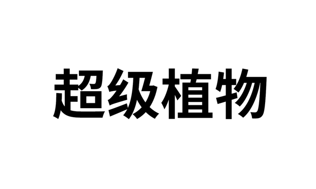 2025服贸会必备消费地图请查收！