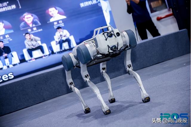 云深处科技亮相IROS 2025，多维展示具身智能前沿成果