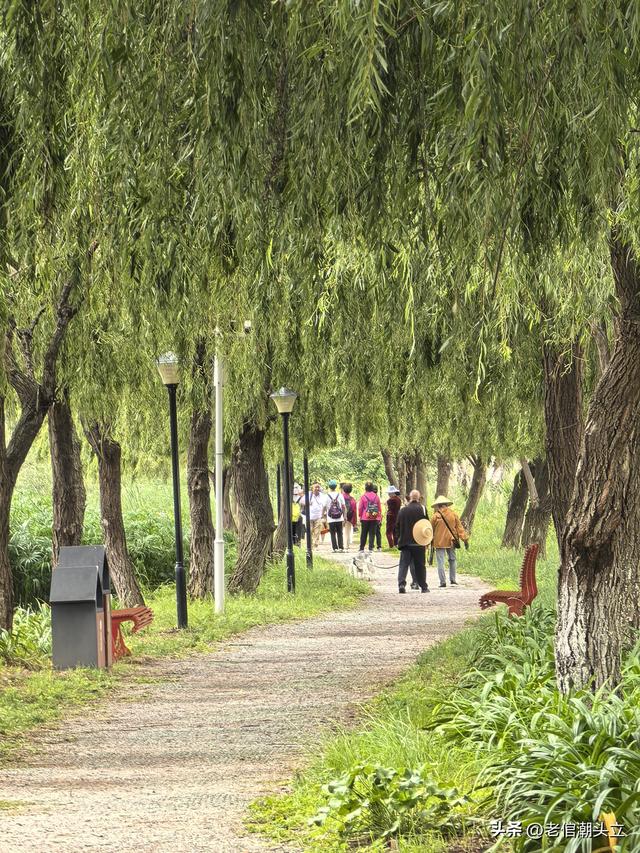 冬天的早上 晒着太阳从大观楼徒步到西山茶马花街 是什么样的感受？