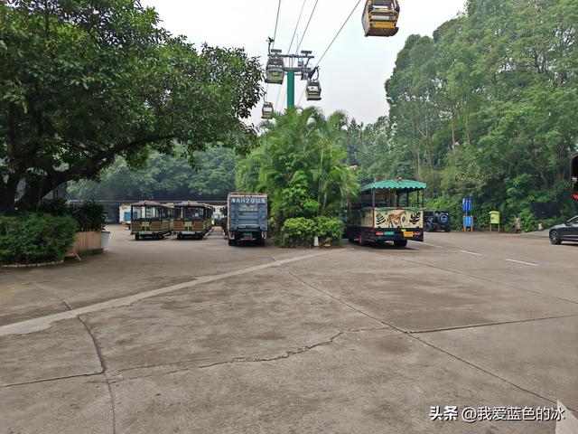 参观广州长隆野生动物园，全程感觉眼累手累腿不累