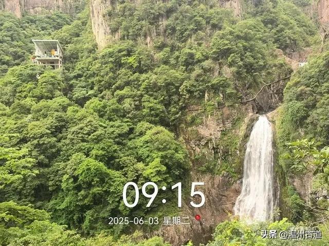 温州这个亲子游玩胜地、植物自然课堂孩子玩嗨家长不累