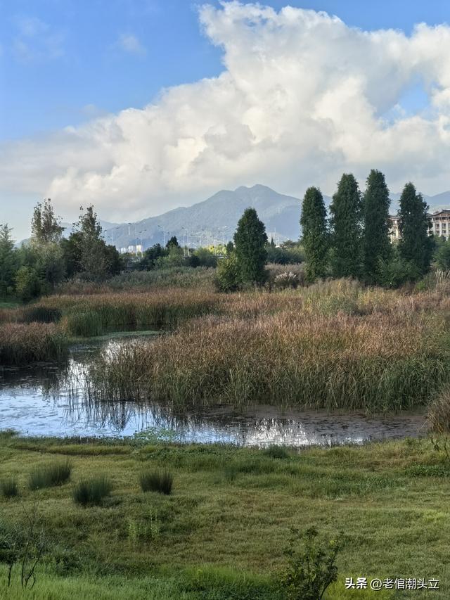 冬天的早上 晒着太阳从大观楼徒步到西山茶马花街 是什么样的感受？