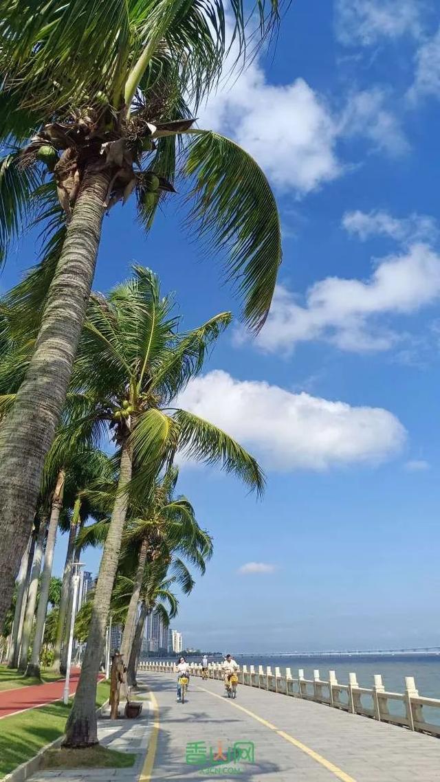 绝美！珠海小众绿道盘点！可徒步可骑行！