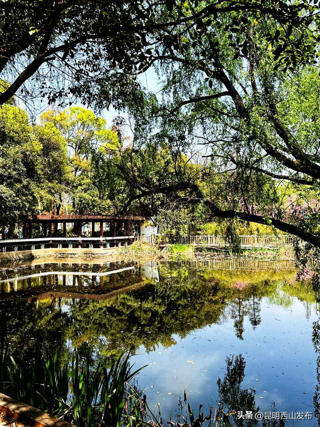 西山旅居看这一篇就够了！第一弹：西福路片区