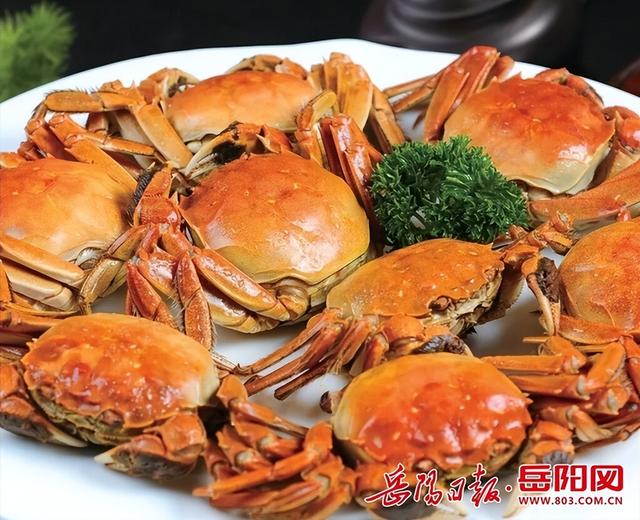 浓情九月 相约湘阴！这份游玩攻略请收好