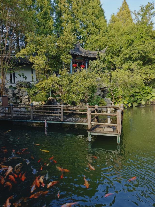 浙江没想到，安徽也没想到，现在的衢州，怎么突然这么火了