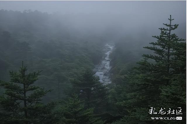 迷雾森林-探秘轿子山