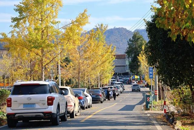 人人人车车车！富阳一地迎来大客流，太赚了！