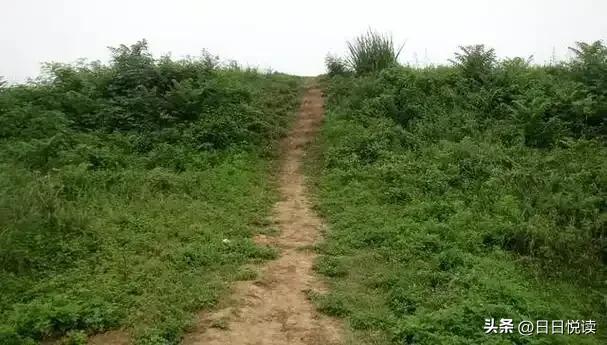 湖北荆州纪南城:楚国王都的样子,都藏在土堆和河道里