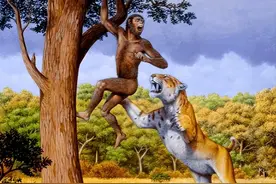 人类没有天敌？错，百万年前出现过，以人为食，人类始祖差点灭绝图片