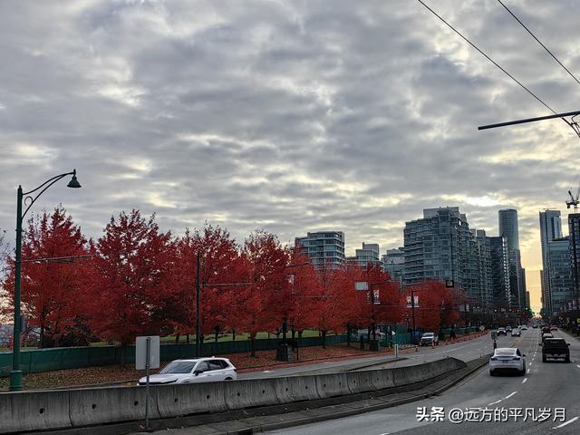 温哥华游记（一）