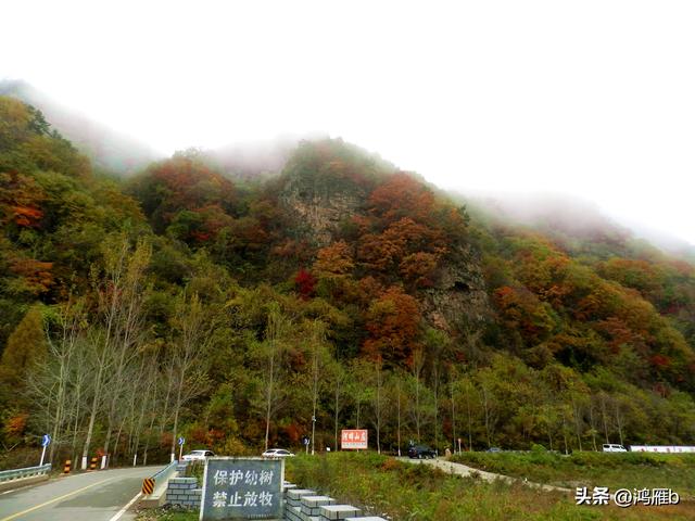 南太子河弯最多最惊险也是风光最美的一段——本溪“湖里”