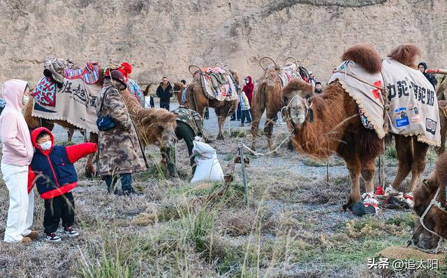 初冬，古城迎来西行客